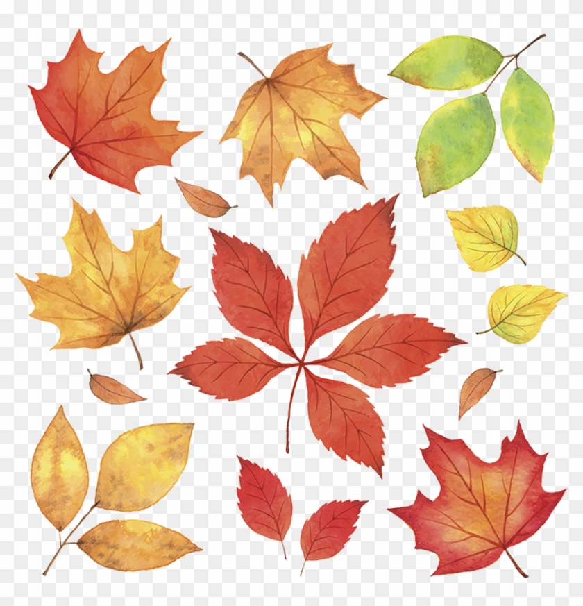 Png Autumn Leaves Falling - Autumn Clipart