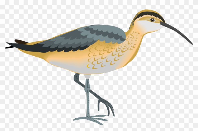 Clip Art - Png Download