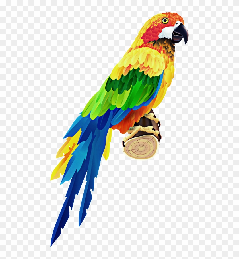 Colorful Parrot Clipart #4008687