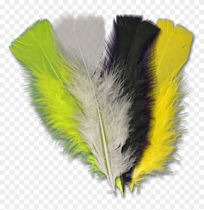 Turkey Feathers Png Clipart #4009796