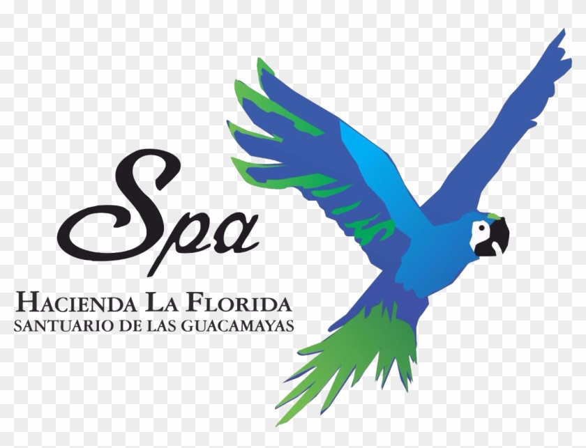 ☰ - Spa Hacienda La Florida Clipart