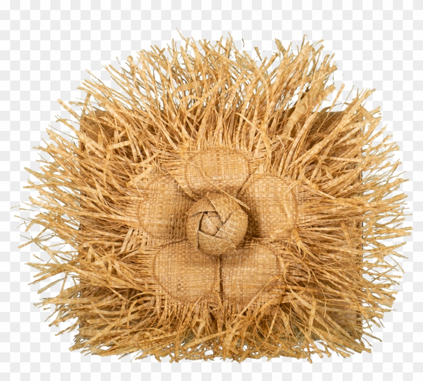 Loading Zoom - Straw Clipart