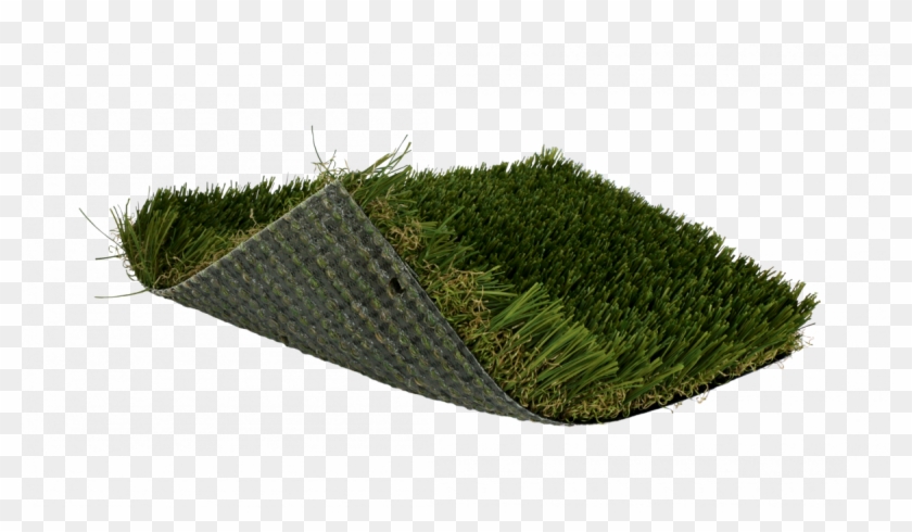 Softlawn® Plush Zoysia - Sweet Grass Clipart