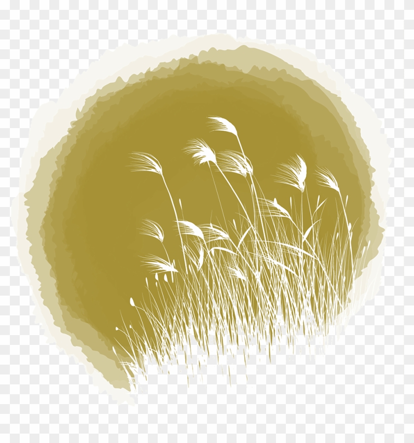 Ryton Gardens In Autumn - Illustration Clipart #4011067