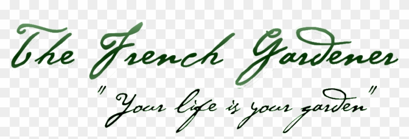 Logo - Calligraphy Clipart #4011093