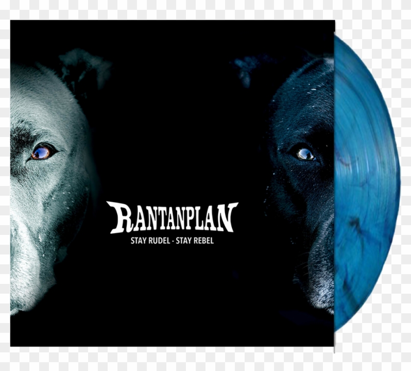 Rantanplan 'stay Rudel - Rantanplan Unleashed Clipart