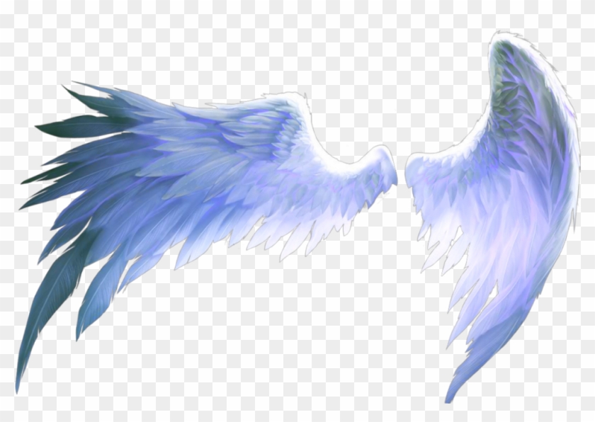 #wings #of #freedom #angel #birds #blue #aesthetics - Pink Angel Wings Png Clipart
