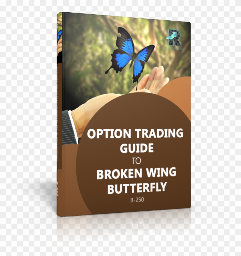 Powerful Option Trading Guide To Broken Wing Butterfly - Goede Voornemens Clipart #4012180
