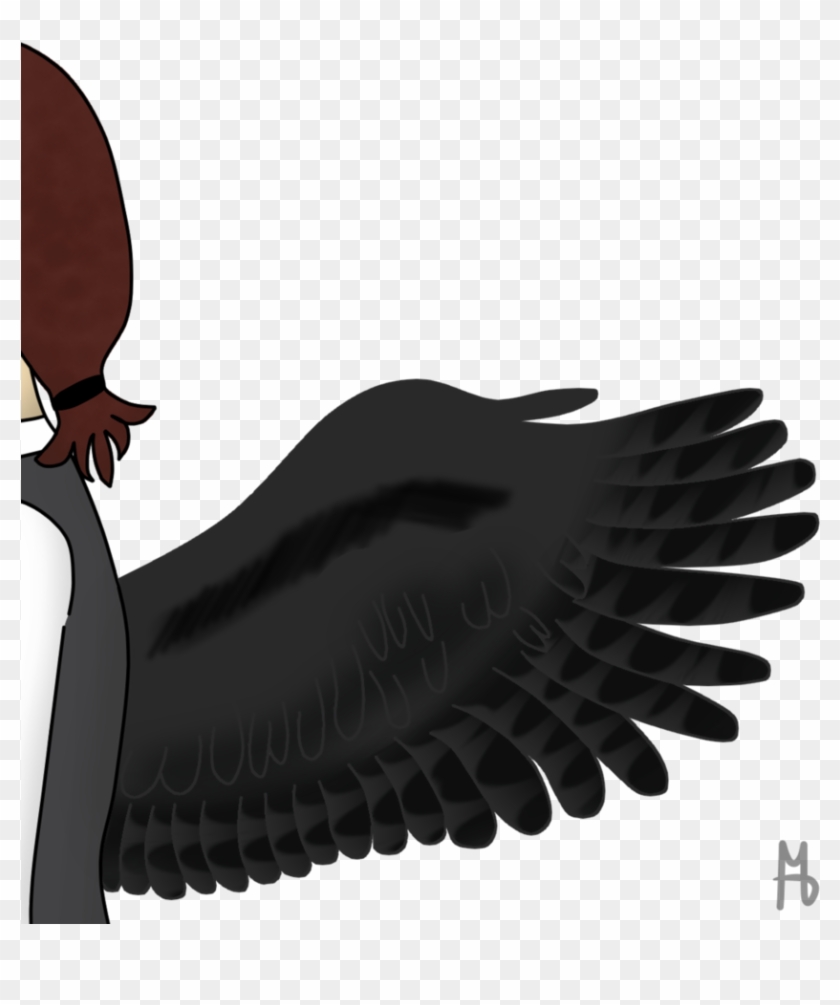 The Wings Of Freedom - Accipitridae Clipart #4012996