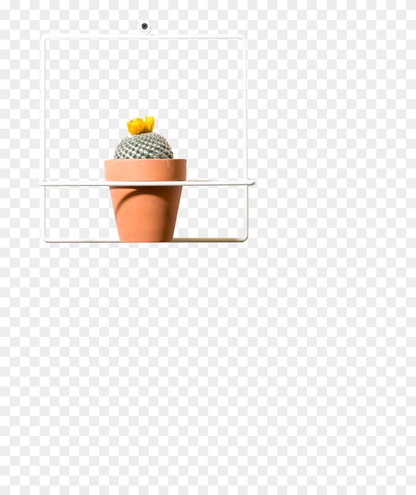 Image (1) - Flowerpot Clipart