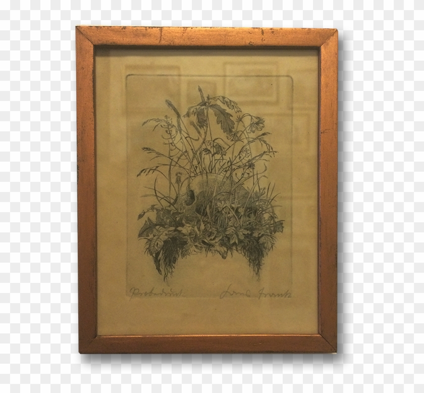 Overgrown Skull Freisteller Web - Picture Frame Clipart #4014981