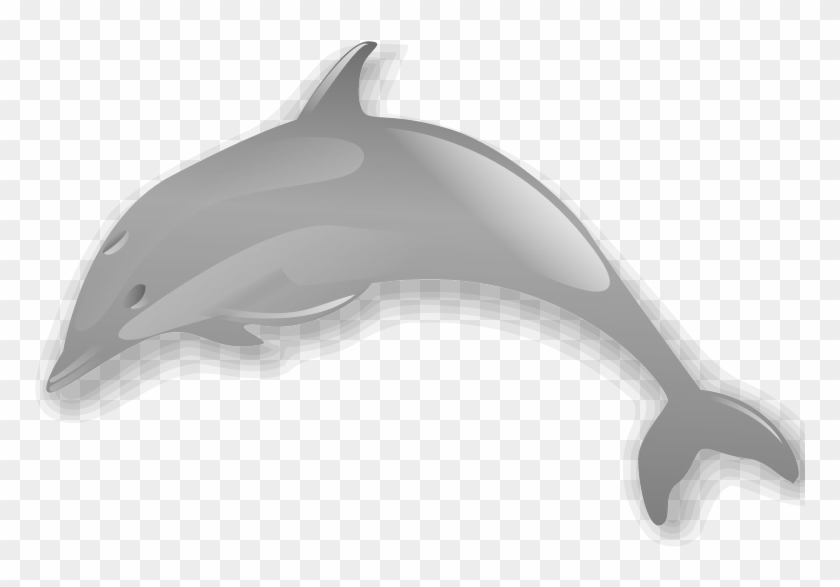Dolphin Enrique Meza C 02 Clip Art Download - Dolphins Animal No Background - Png Download