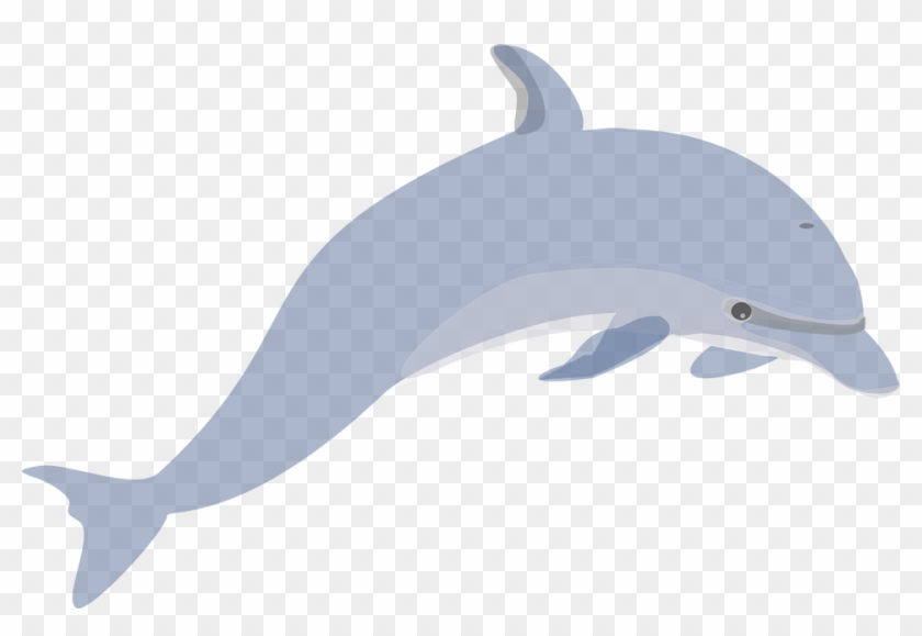 Go To Image - Jumping Dolphin Clip Art - Png Download