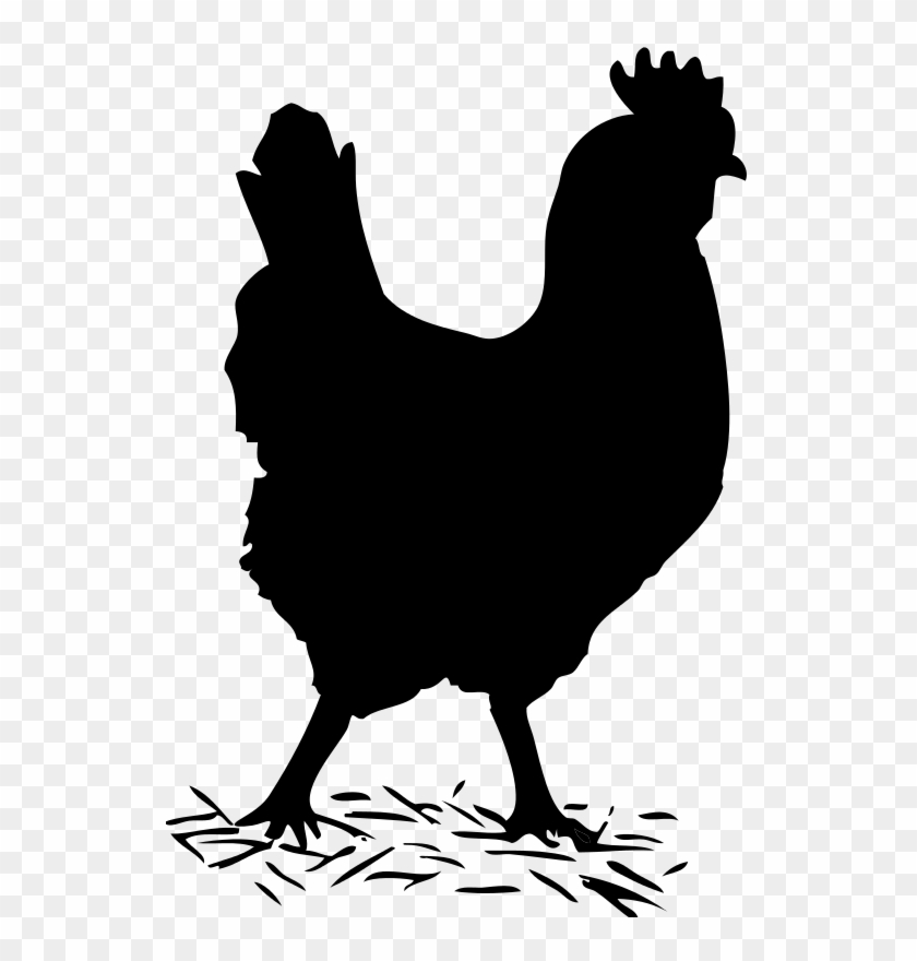 Chicken Clipart Track - Hen Black And White - Png Download #4017270