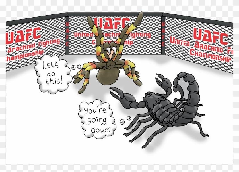 Ufc Scene - Cartoon Clipart #4017747