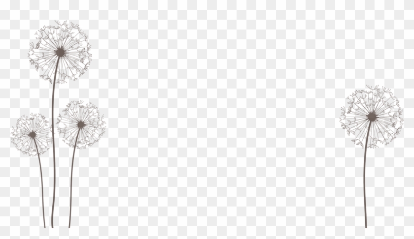 Png By Dragonart Festival Urlaub Pinterest - Dandelion Clipart #4018243