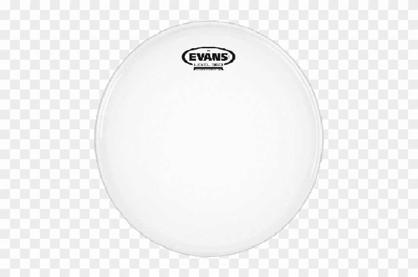 Geovoice - Evans Drum Heads Clipart #4018722