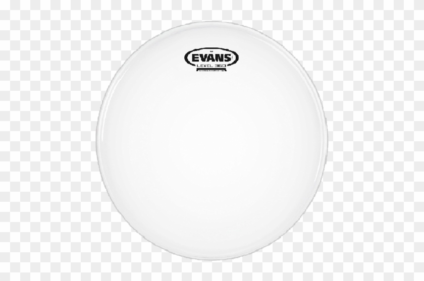 Geovoice - Evans Drum Heads Clipart