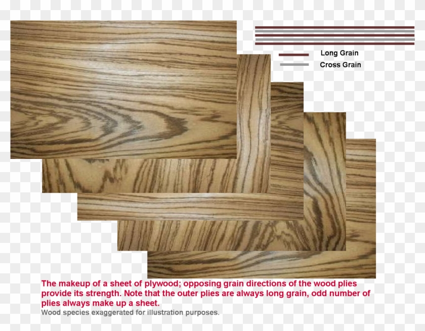 The Outer Plies Are Generally Of A Higher Quality Than - Plywood Clipart #4019675