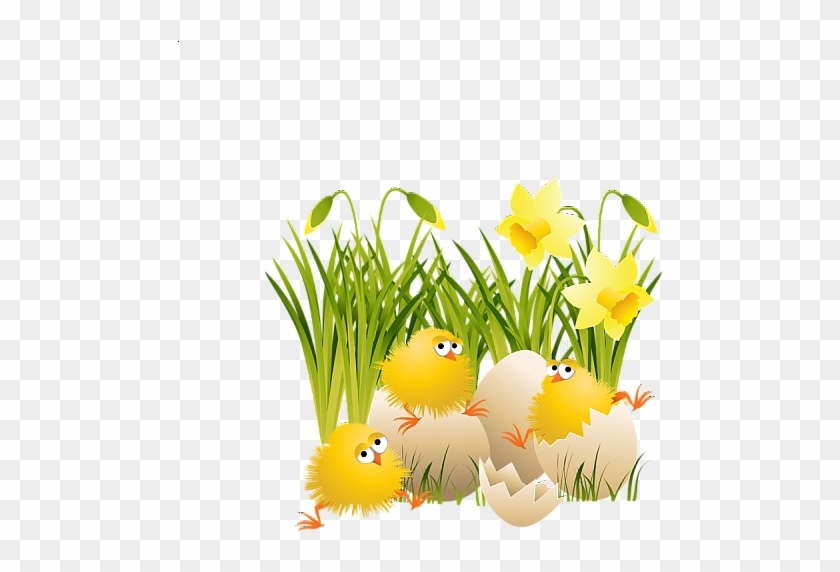 Easter Chick Images Transparent Clipart