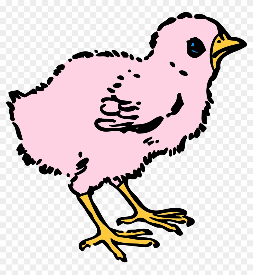 Easter Colored Chick Spring Png Image - Baby Chicken Clipart Black And White Transparent Png