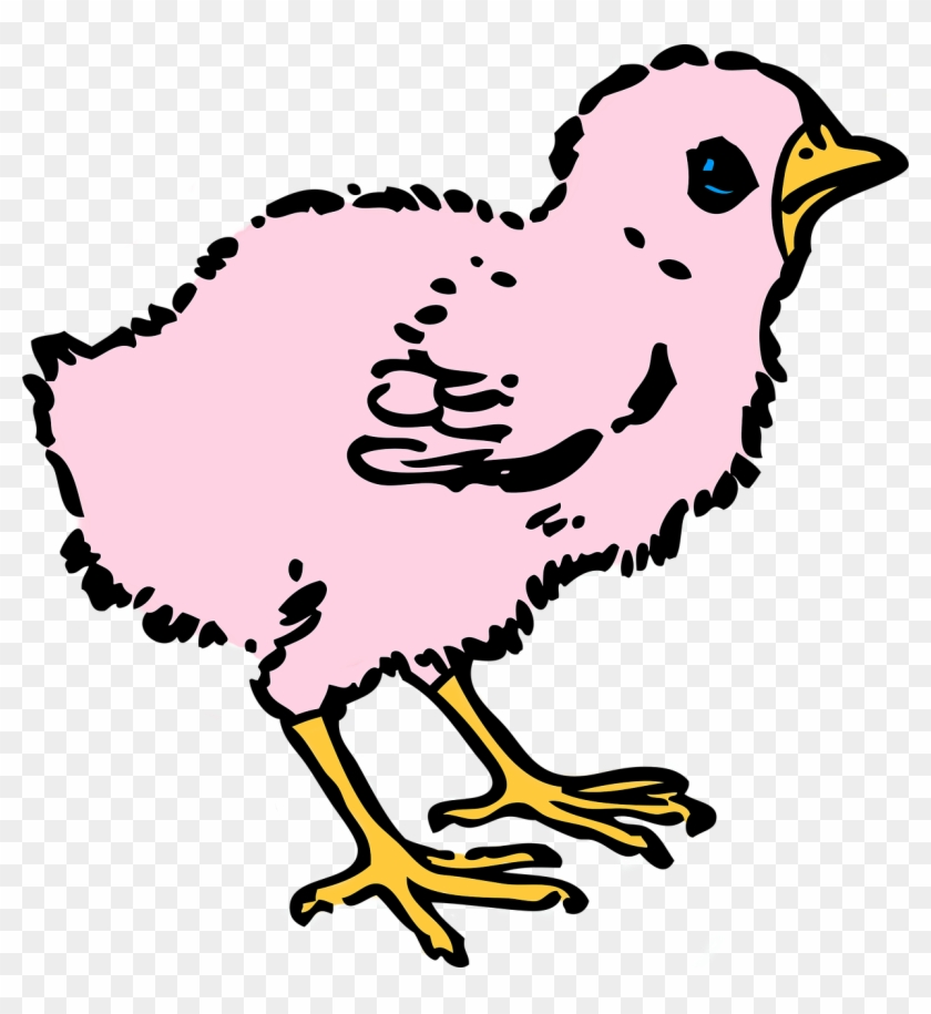 Easter Colored Chick Spring Png Image - Baby Chicken Clipart Black And White Transparent Png #4020547