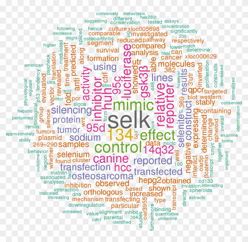 Stem Loop Sequence Hsa Mir 544a - Hsa Let 7a 3p 5p 3 Utr Clipart