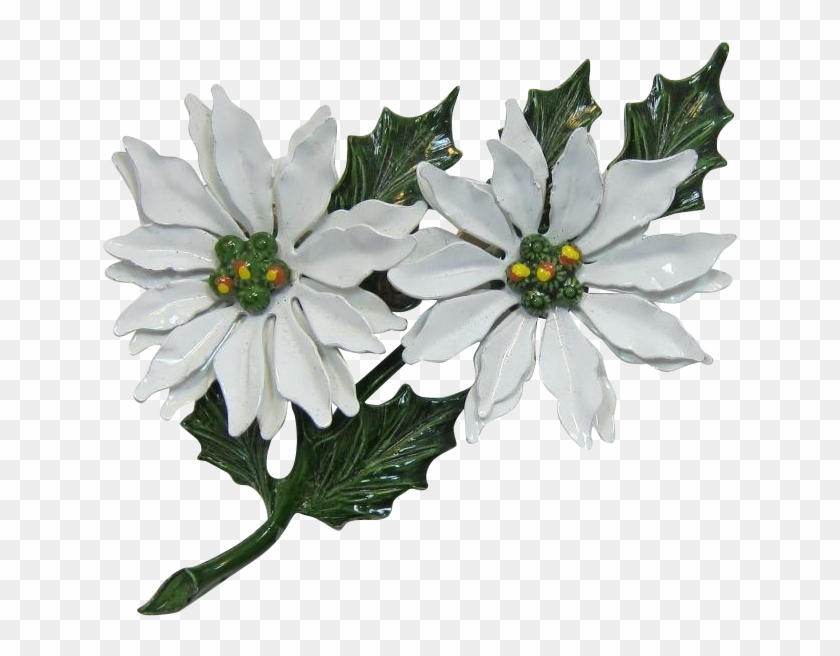 Double White Poinsettia Christmas Brooch - African Daisy Clipart