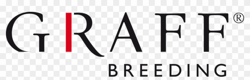 Q Ismas Star® Colourful Christmas Plants For Your Home Clipart #4026443