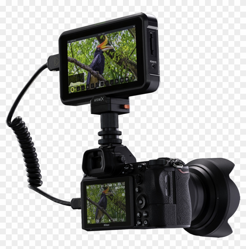 The Atomos Shinobi 5 Inch High Brightness Hdr Monitor - Atomos Shinobi Clipart