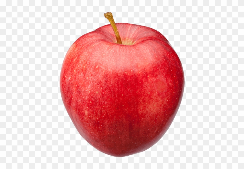 Large Picture Of Apple Clipart #4027709