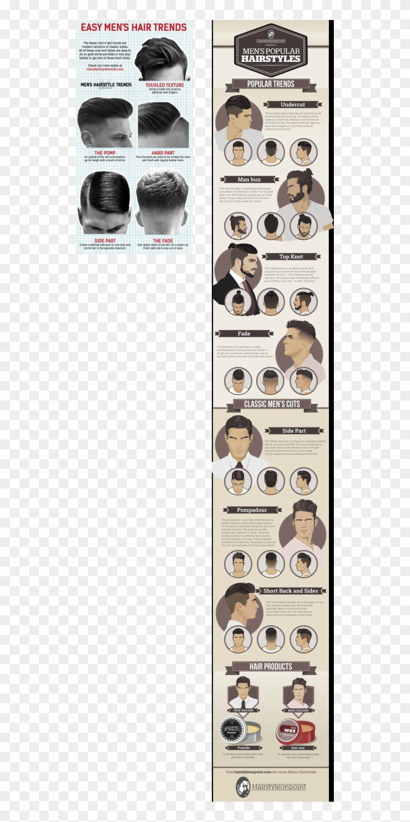 Hairstyle Infographic Clipart #4027829