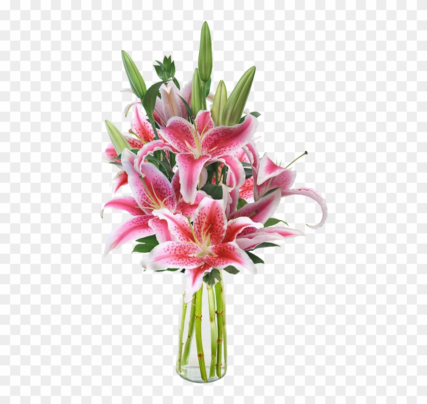 If You Think Your Cat May Have Ingested Even A Part - Stargazer Lilies In A Vase Clipart