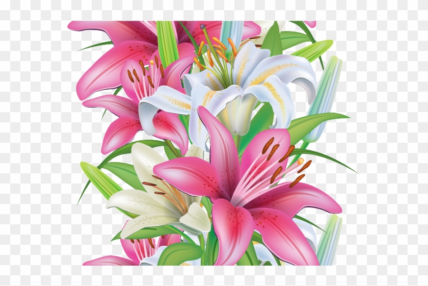 Lily Svg Clipart Lily Stargazer Lily Lily Png Lilies Svg Etsy | The ...