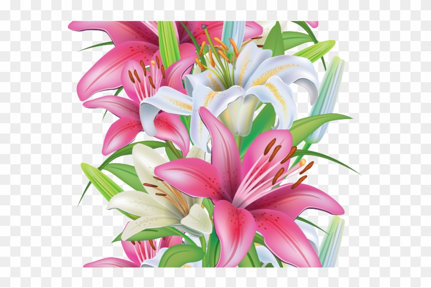 Stargazer Lily Cliparts - Clip Art - Png Download