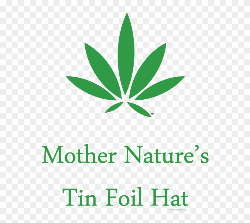 "mother Nature's Tin Foil Hat" - Military Rank Clipart