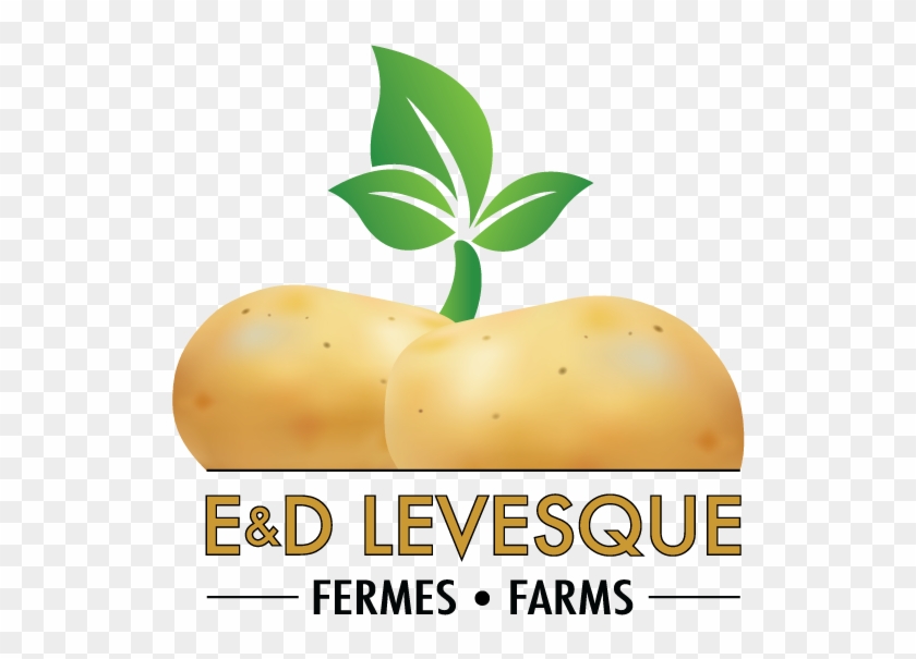 Illustration Clipart