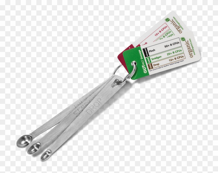 Organic3 Spoons - Cutting Tool Clipart