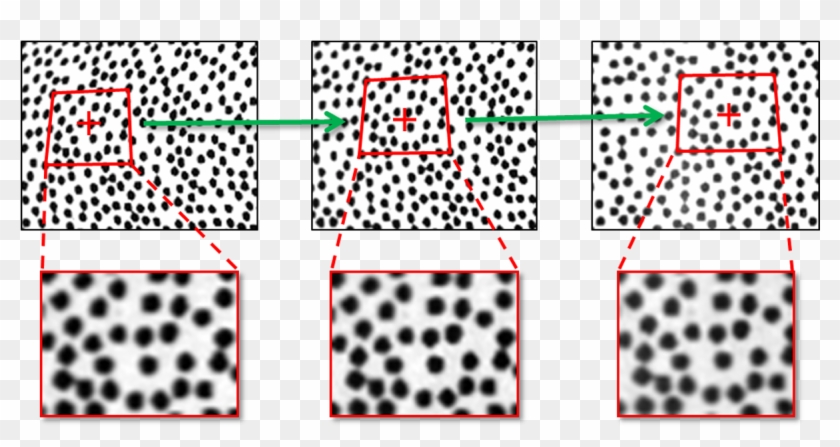 No-img - 2d Dic Clipart