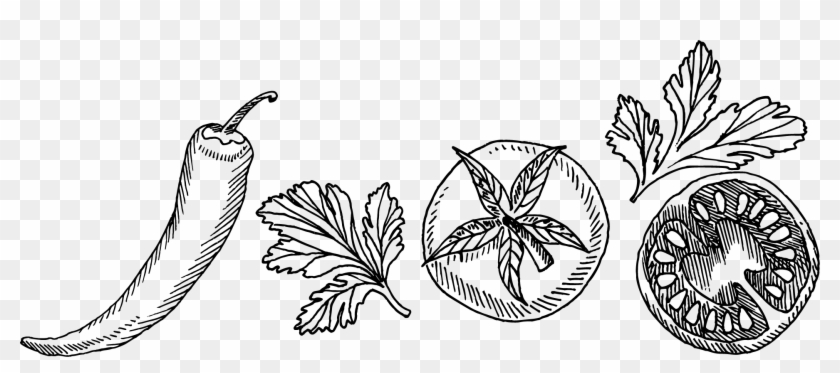 Quesadilla De Carne - Illustration Clipart