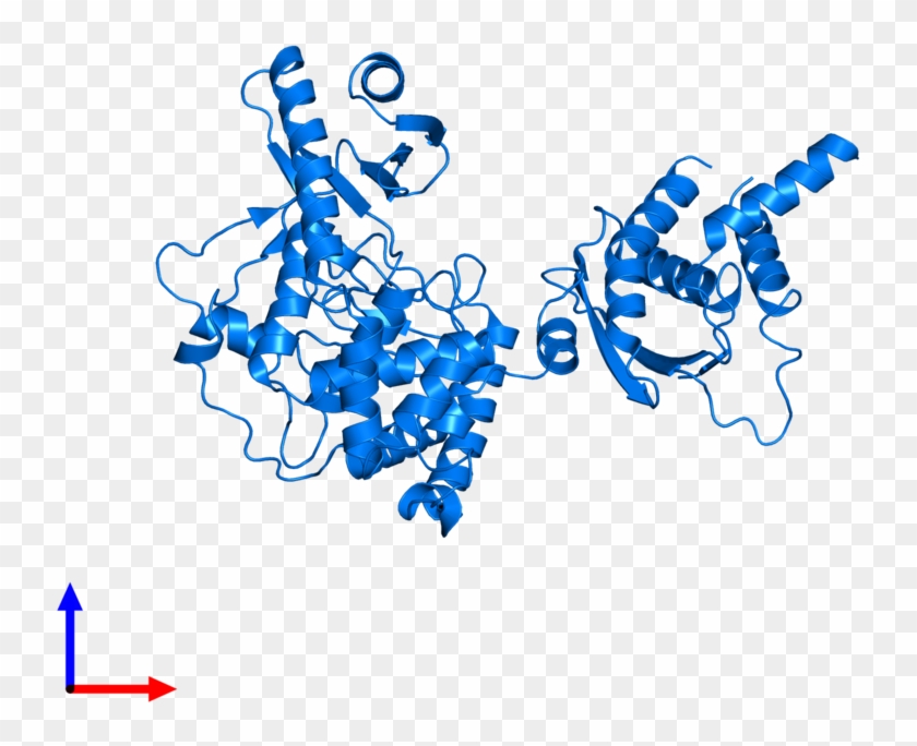 <div Class='caption-body'>pdb Entry 5wu5 Contains 1 Clipart