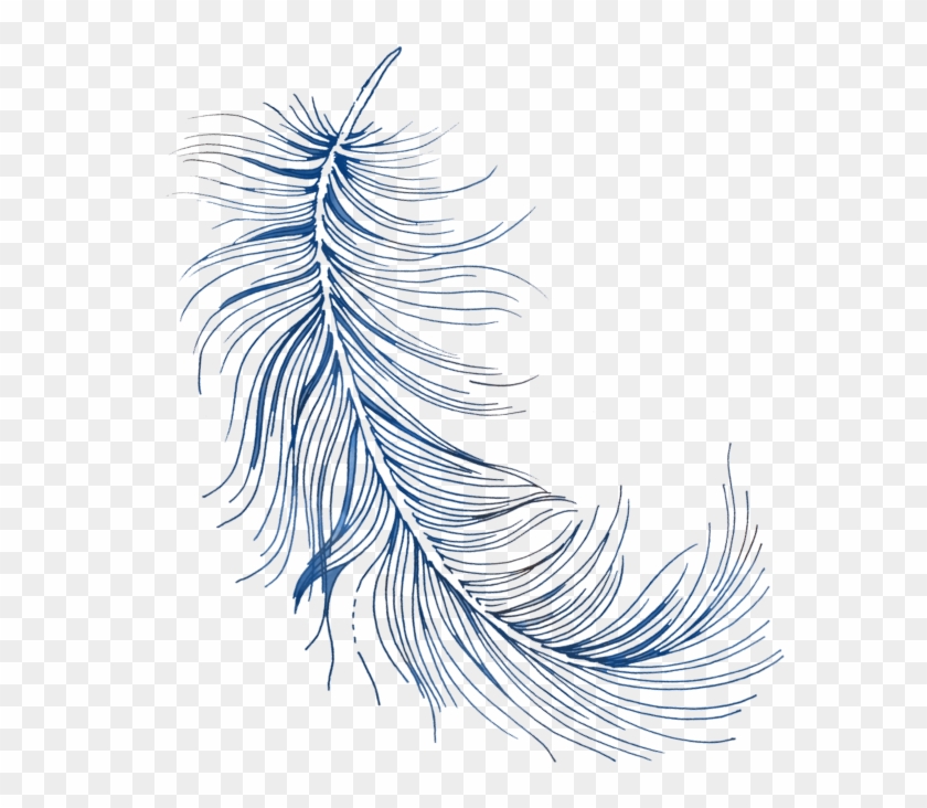 Feather .png Clipart