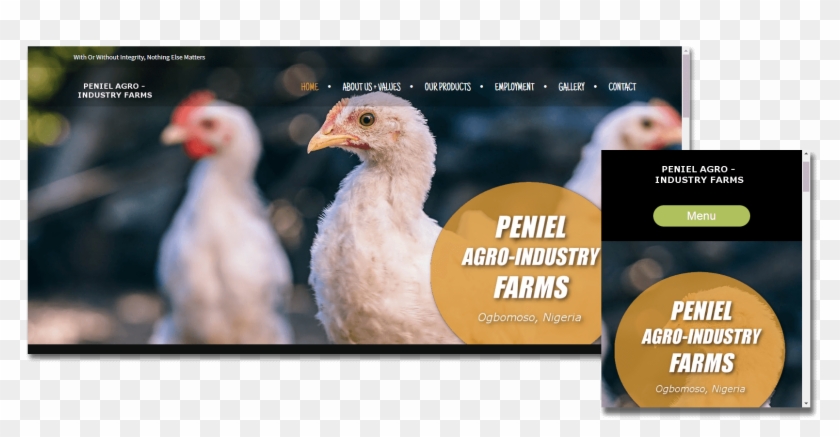 Website Design - Domesticated Turkey Clipart #4033935