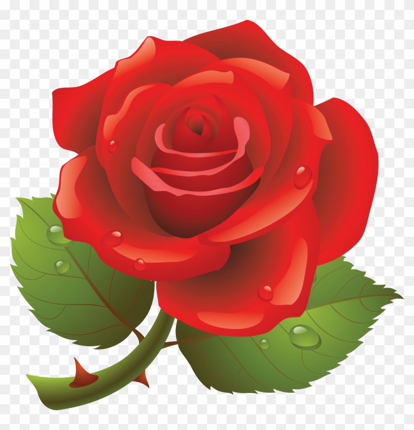 Rose Clipart Transparent Background Red Rose Day Images Download