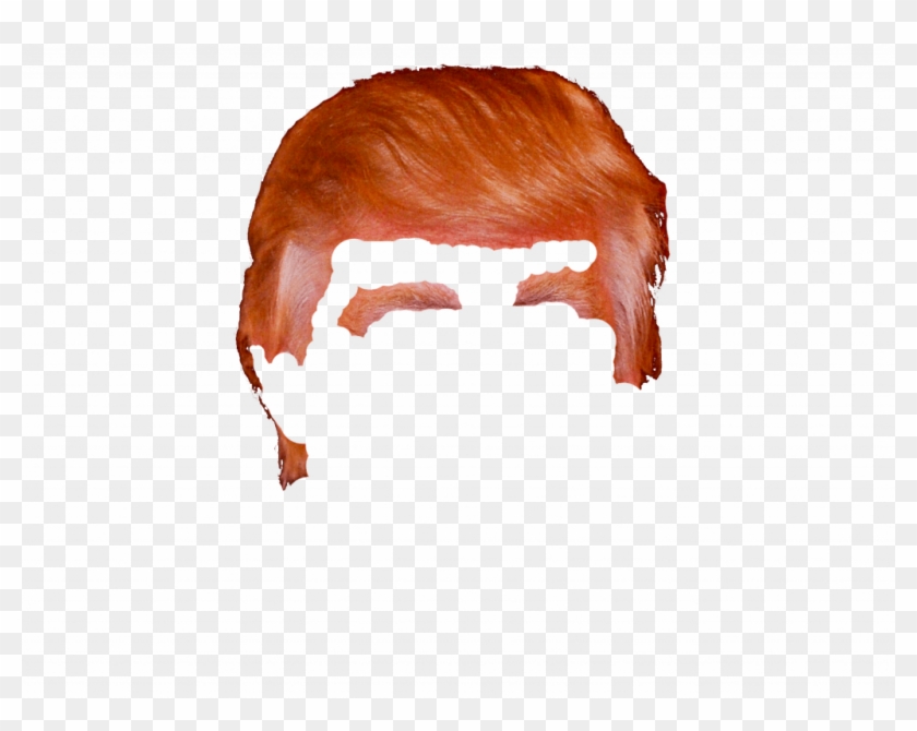 Trump Hair Transparent Background Clipart #4035132