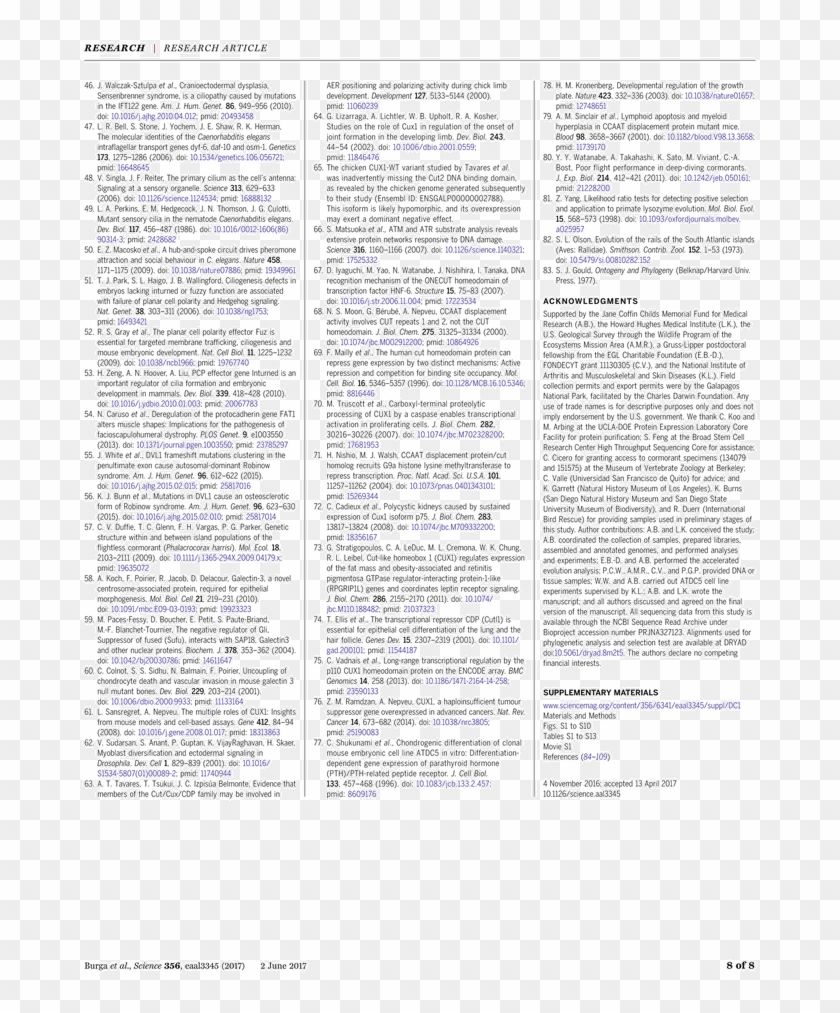 Haven Med Den Gamle Døbefont Clipart