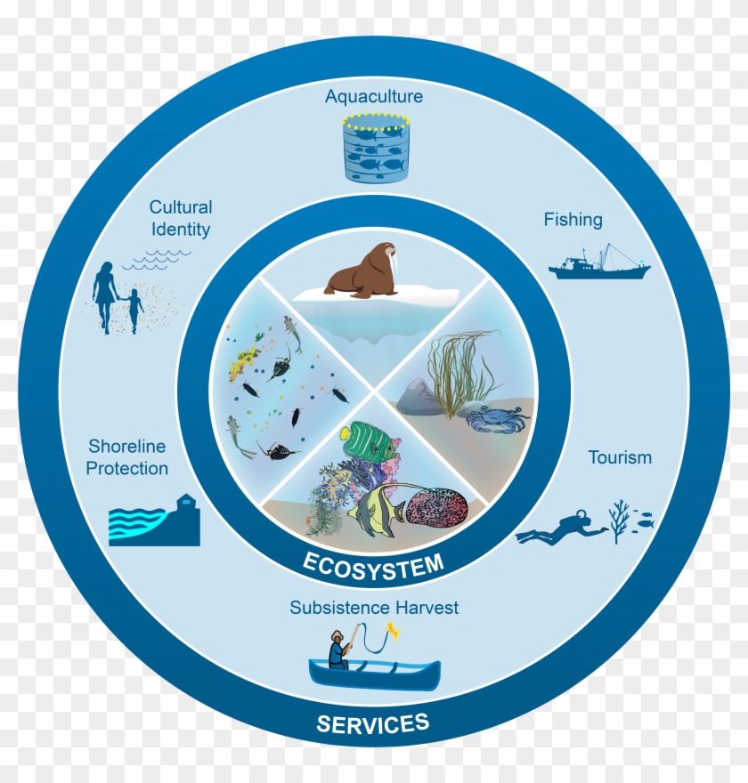 Figure - Circle Clipart