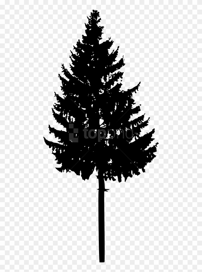 Free Png Tree Silhouette Png Images Transparent - Tree Silhouette Vector Png Clipart #4035812