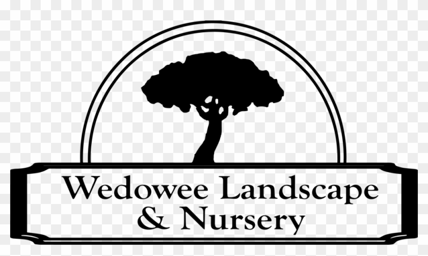 Chess Kids Clipart #4036628