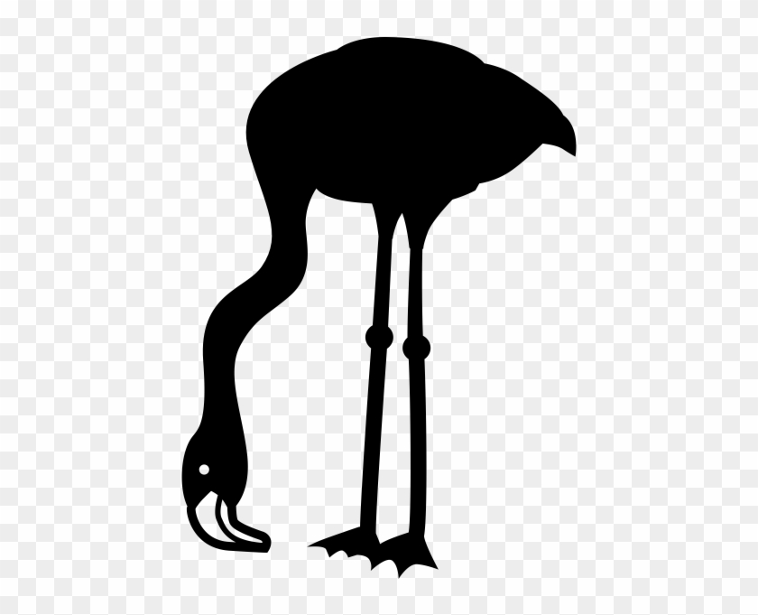 Flightless Bird Clipart